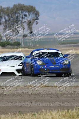 media/May-03-2024-PCA Central Coast (Fri) [[eaa7da0ee1]]/Red Group/Session 1 (Grapevine)/